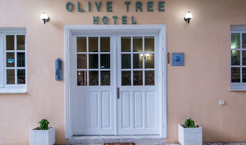 Hotel Olive Tree