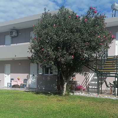 Studia Kefalos 1 (Stamatia)