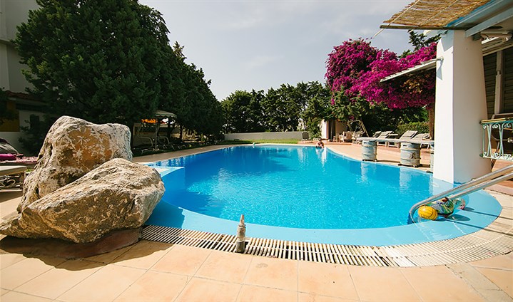 Studia Gorgona - 