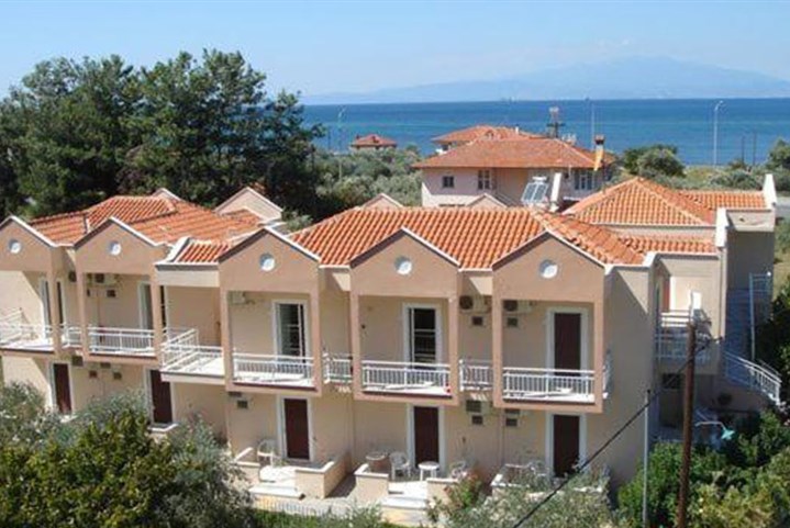 Studia Amarilia - 