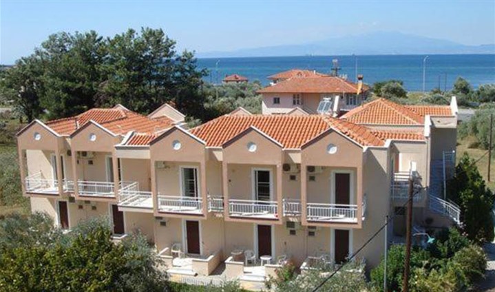 Studia Amarilia - 