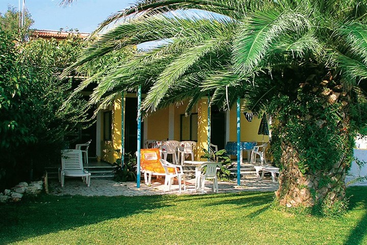 Studia Eleana - 