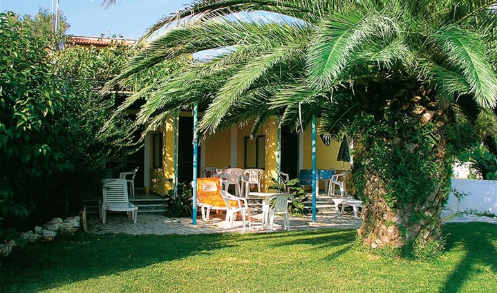 Studia Eleana - 