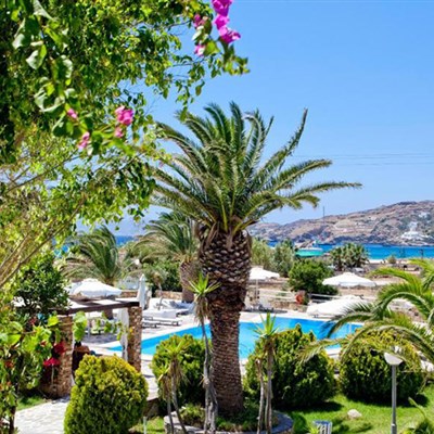 Hotel Dionysos Seaside Resort