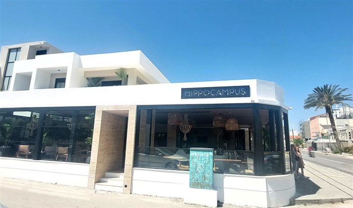 Hotel Hippocampus - 