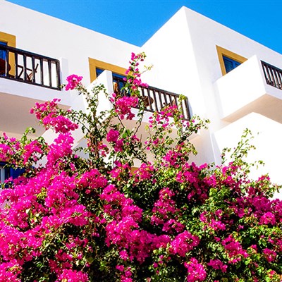 Hotel Patmos Paradise