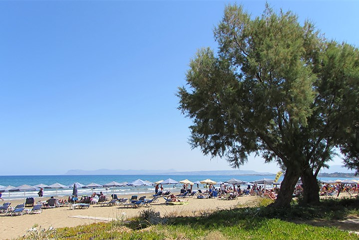Studia Thodorou - 