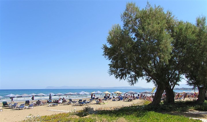 Studia Thodorou - 