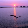 Dovolená nás baví - Foto: Hana Paulíčková 2011