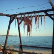 Dovolená nás baví - Foto: Drahomíra Pavlíčková 2011